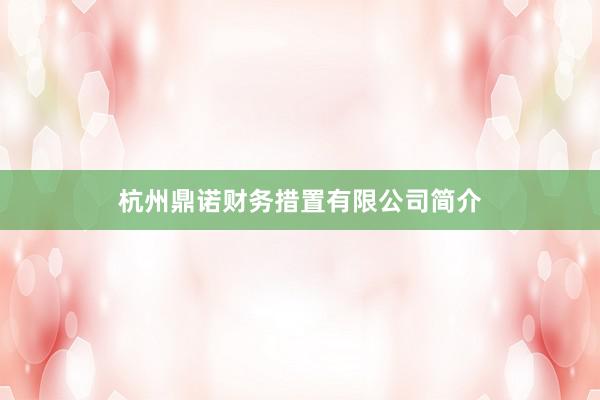 杭州鼎诺财务措置有限公司简介